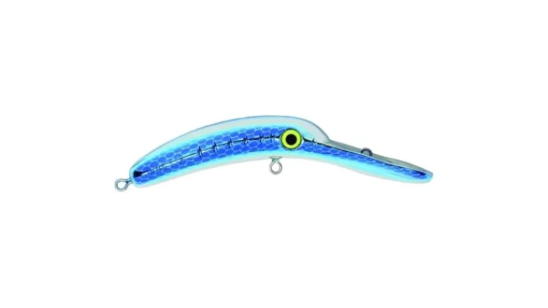 Worden's Flatfish Mag Lip