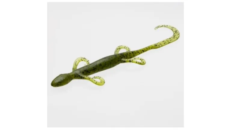 Zoom Lizard
